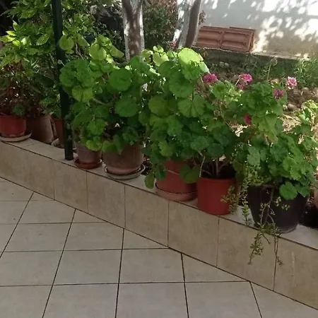 Sofia Comfort * Nivice (Vlore)